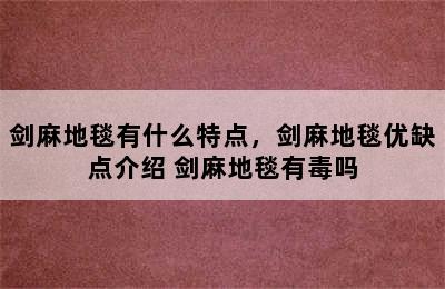 剑麻地毯有什么特点，剑麻地毯优缺点介绍 剑麻地毯有毒吗